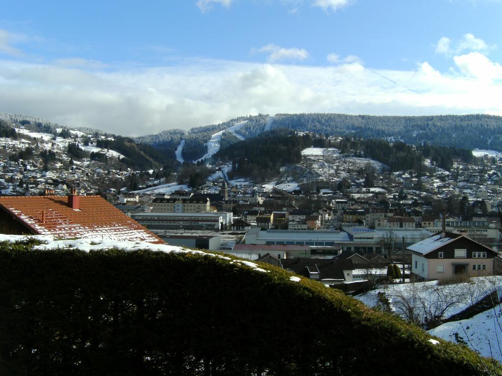 Les 4 Saisons Apartamento Gérardmer Exterior foto